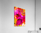 Color cluster Acrylic Print