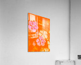 Tropical warmth Acrylic Print