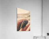 Natures fingerprint Acrylic Print