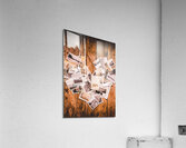 Merger of past lives and interwoven stories Acrylic Print