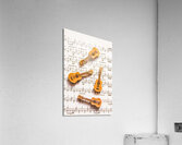 Acoustic quartet Acrylic Print