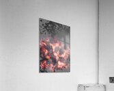 Death Blooms Acrylic Print