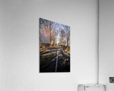 The way to Swansea Acrylic Print