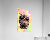Pop art owl watercolour Acrylic Print