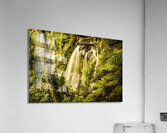 Philosopher Falls Western Tasmania Acrylic Print