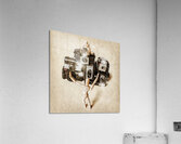 When the photographers away the toys will play Acrylic Print