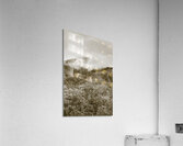 Misty mountains Acrylic Print