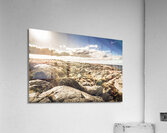 Bay of Fires Tasmania Australia Acrylic Print