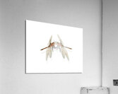 The Great Romanticism Acrylic Print