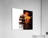Heads Of Decay Acrylic Print