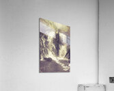 Imaginations wild Acrylic Print