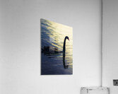 Edge of the wild Acrylic Print