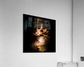 The walk-in Acrylic Print