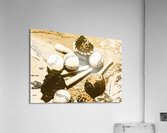 Major league memories Acrylic Print