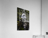 Waterfall wonders Acrylic Print