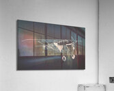 Tin wings Acrylic Print