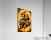 Circle of guardian angel elders Acrylic Print