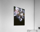 Artistic dark blue flowers in night winter garden Acrylic Print