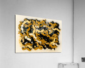 Wooden whiskers Acrylic Print