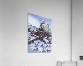 Panda frosts Acrylic Print