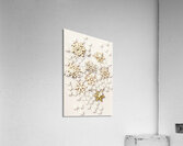 Snowflake winters Acrylic Print