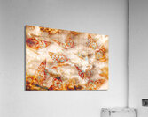 Free form and flight Acrylic Print