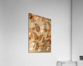 Golden butterflies adorning a soft beige wall Acrylic Print