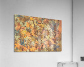 With faded colors and intricate markings Acrylic Print