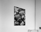 Action packed gaming Acrylic Print