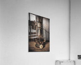 Barn songs Acrylic Print