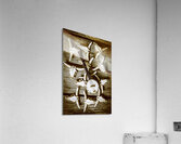 Playing up a country scene Acrylic Print