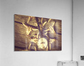 Weathered in western Acrylic Print