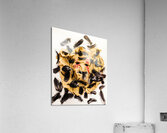 Crowed and feathered Acrylic Print