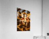 A crow too far Acrylic Print