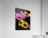 Maskquerade Acrylic Print