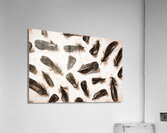 A feathery foray Acrylic Print