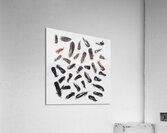 Light and dark Acrylic Print