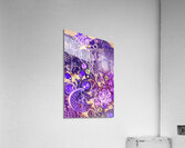 Purpowl Acrylic Print