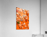 Heart consortium  Acrylic Print