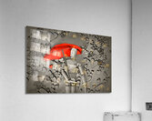 The search Acrylic Print