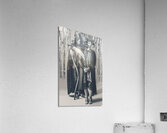 Deaths dance Acrylic Print