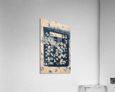 Calc elation Acrylic Print