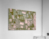 Ageless Acrylic Print