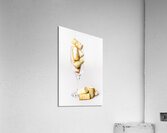 Cork gala Acrylic Print