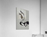 Opening event Acrylic Print