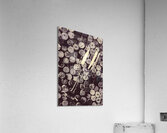 Uncorked Acrylic Print