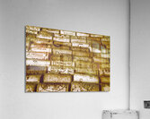 Wayback wino Acrylic Print