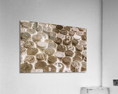 Corksortium Acrylic Print