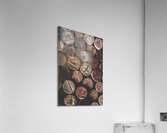 Back drops Acrylic Print