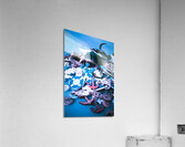 Seafearing Acrylic Print